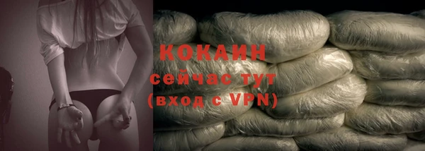 твердый Богородицк