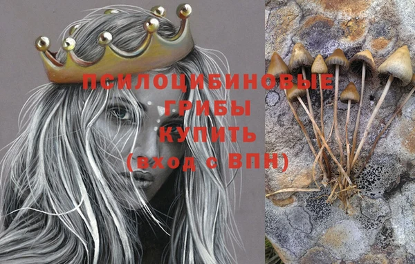 твердый Богданович