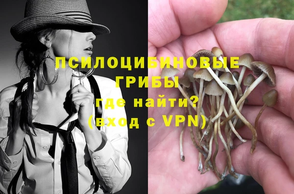 COCAINE Богородск