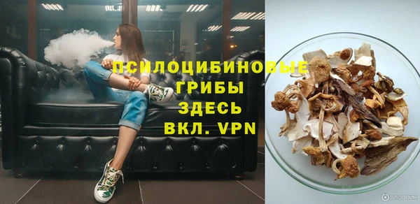 твердый Богданович