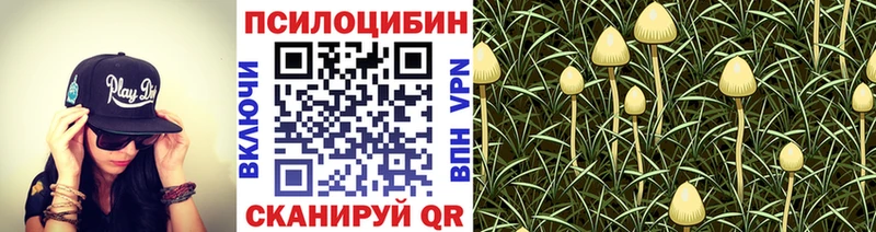 Псилоцибиновые грибы прущие грибы Духовщина